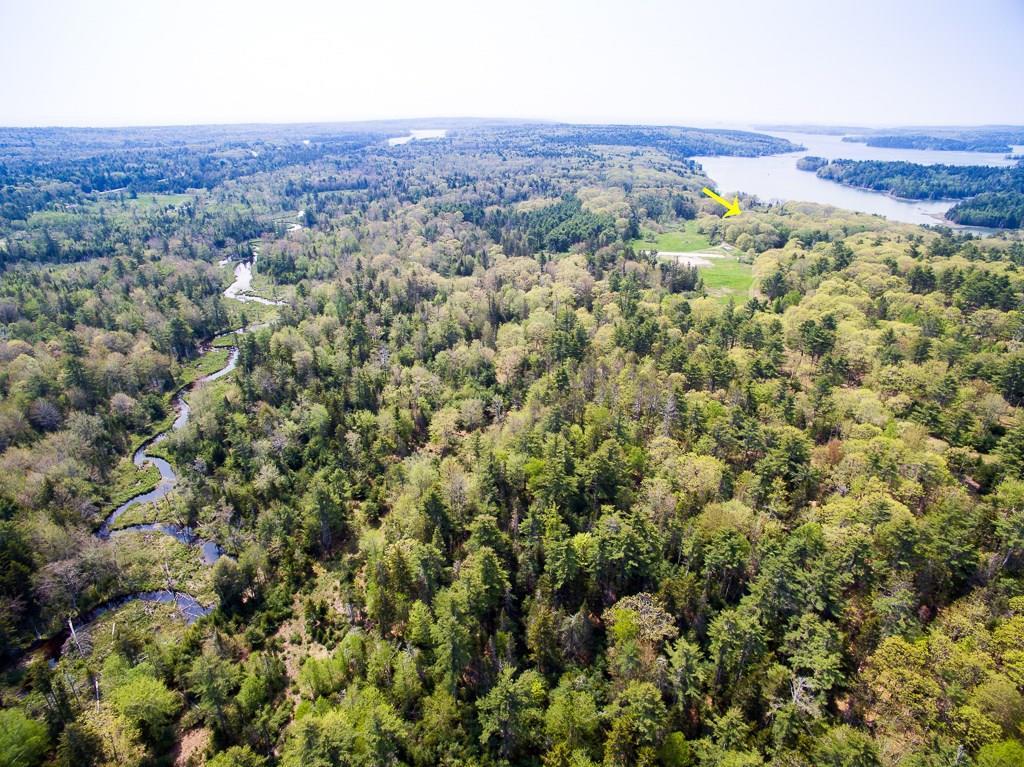 240 Harrington Road Pemaquid, ME 04558 - Photo 21 of 22 Little Falls Brook forms part of the...