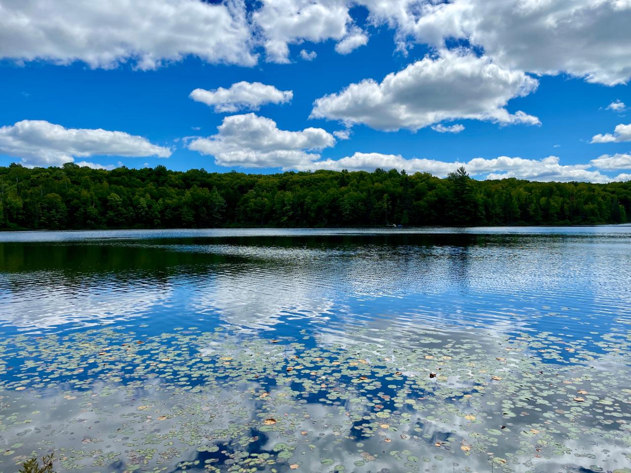 On Beaver Station Road Watersmeet, MI 49969 - Photo 1 of 19 Gallery Image 1