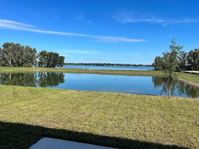 a view of a yard with plants and trees