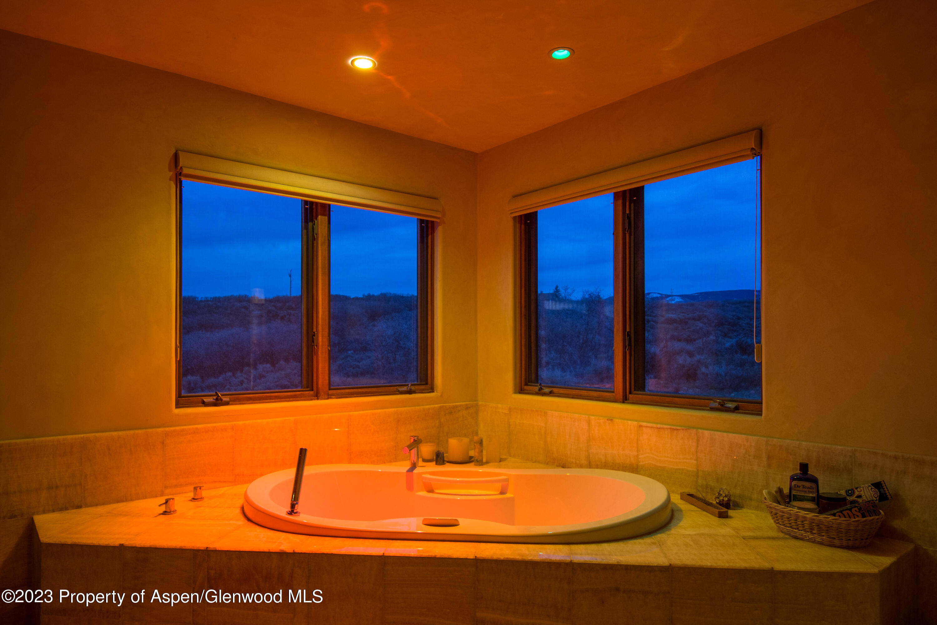 712 Buck Point Road Carbondale, CO 81623 - Photo 15 of 22 25