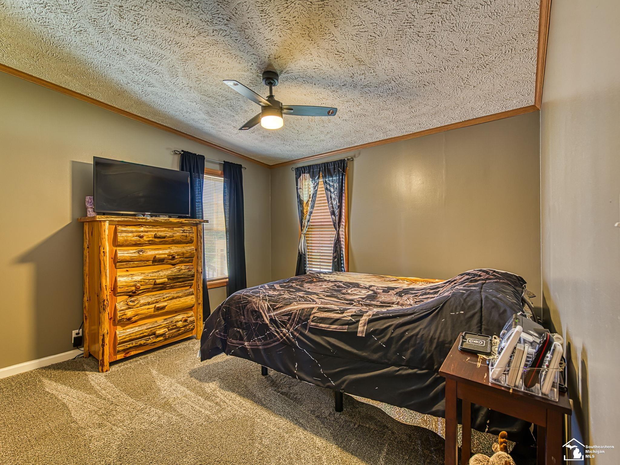 12345 West Dunbar Road Ida, MI 48140 - Photo 24 of 68
