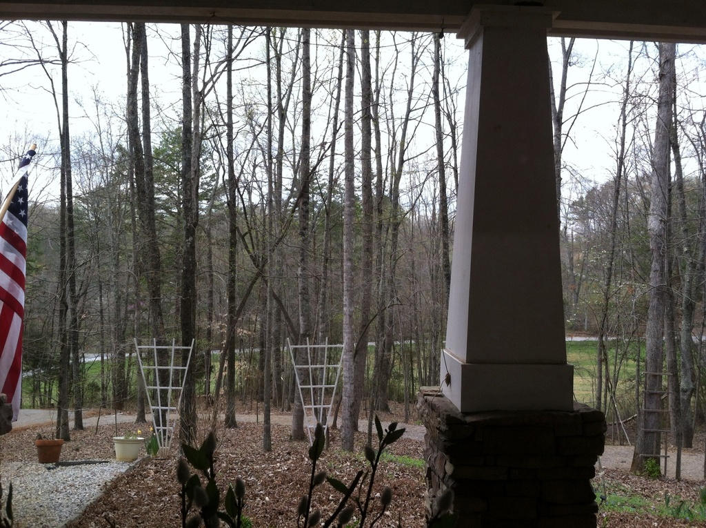 910 Kiser Road Philadelphia, TN 37846 - Photo 3 of 36 View from front Porch