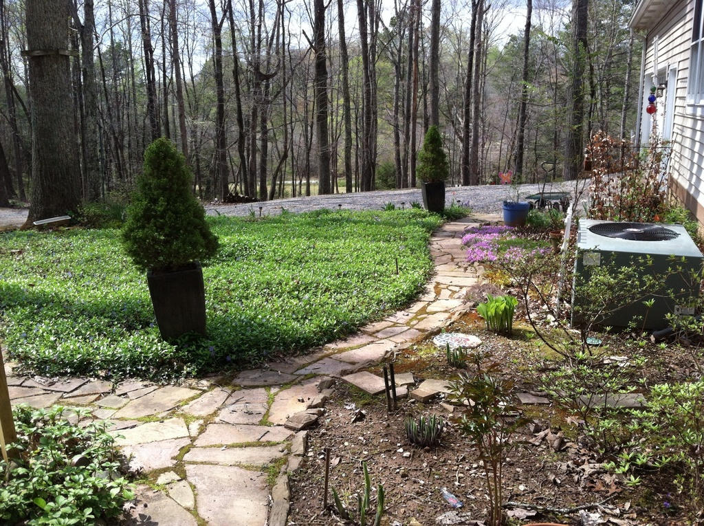 910 Kiser Road Philadelphia, TN 37846 - Photo 33 of 36 landscaping