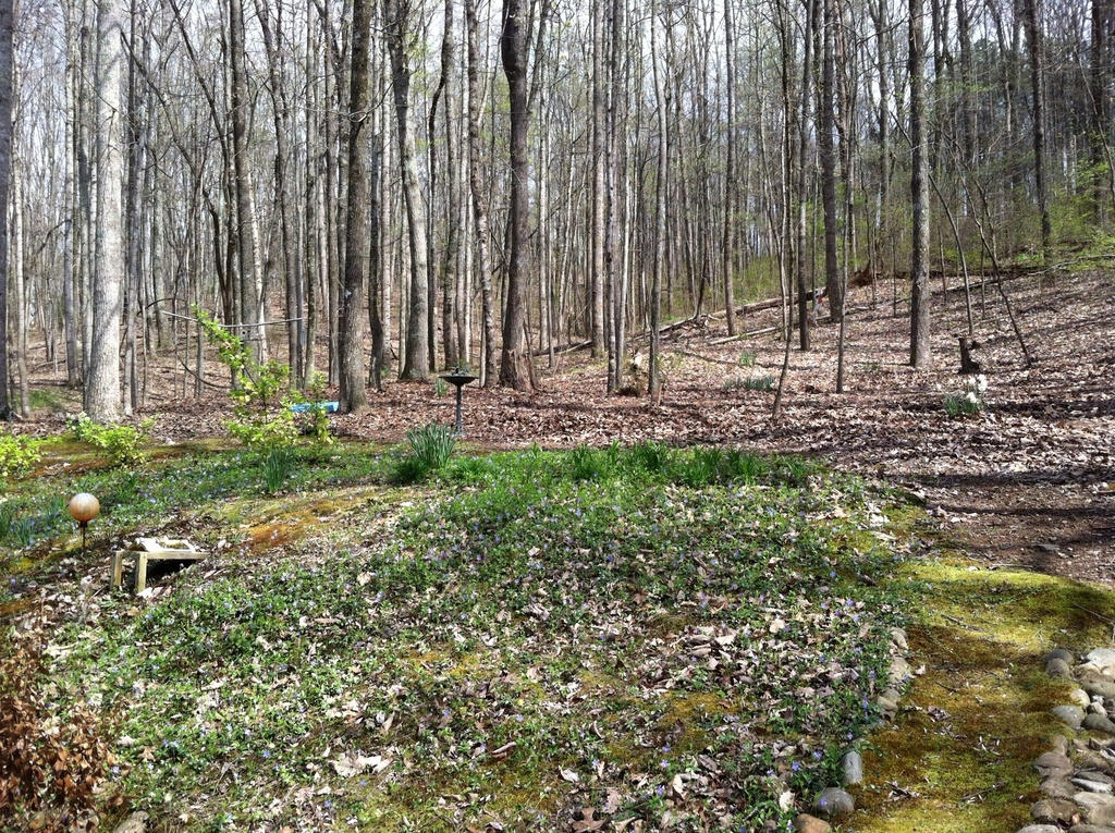 910 Kiser Road Philadelphia, TN 37846 - Photo 35 of 36 View from back porch