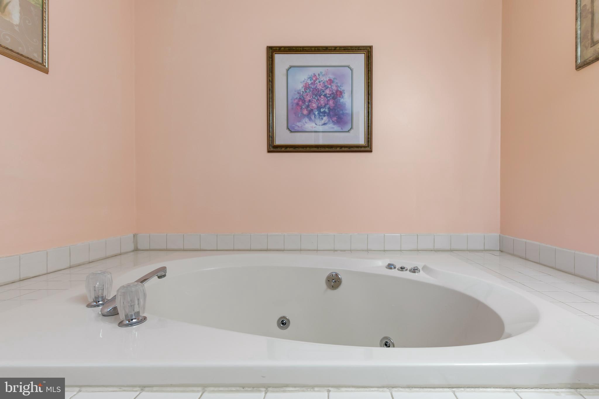 89 Governor Stable Road Elizabethtown, PA 17022 - Photo 31 of 46 Gallery Image 31