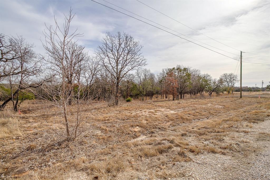 1024 Rose Court Nemo, TX 76070 - Photo 14 of 16 a view of a yard with trees
