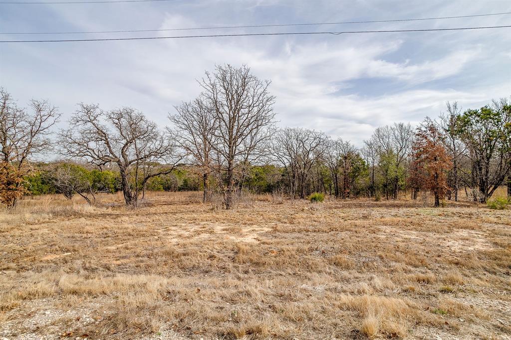 1024 Rose Court Nemo, TX 76070 - Photo 15 of 16 a view of a yard with a trees