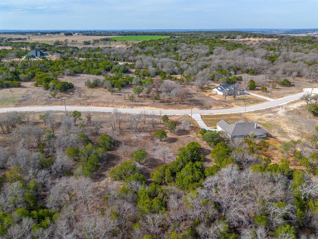1024 Rose Court Nemo, TX 76070 - Photo 6 of 16 a view of a yard with a field