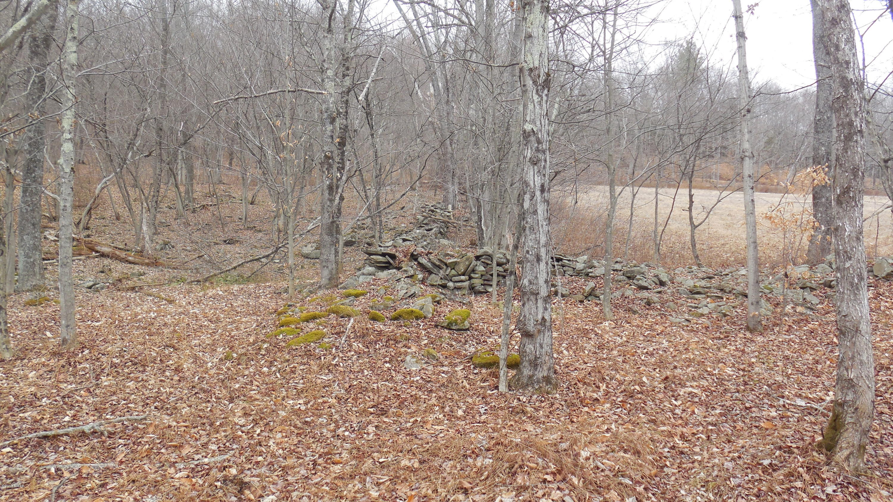 352 Hellmers Hill Road Equinunk, PA 18417 - Photo 7 of 34