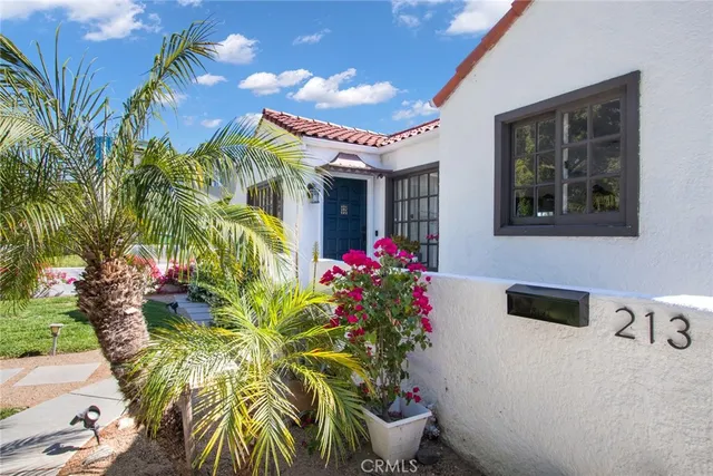 a potted plant sitting in front of a house