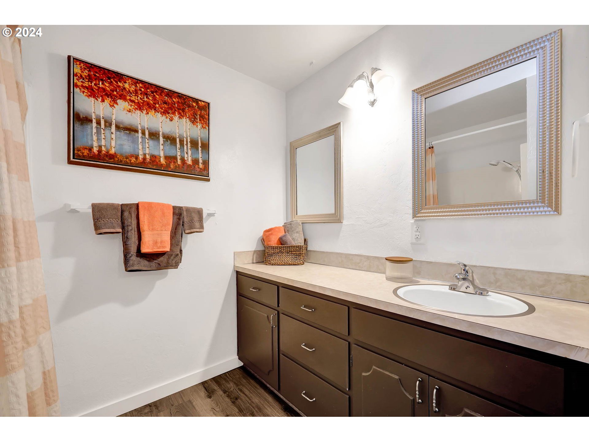4250 Scenic Drive Eugene, OR 97404 - Photo 12 of 31 a bathroom with a sink and a mirror