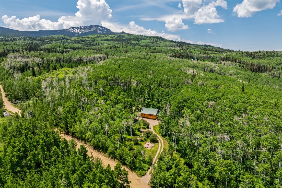 389 Routt Forest Loop Craig, CO 81625 - Photo 2 of 49 a view of a green yard with large trees