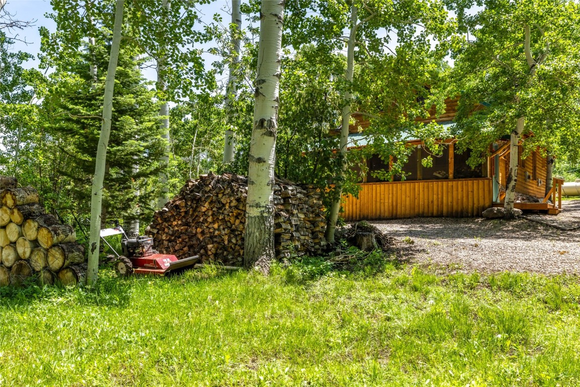 389 Routt Forest Loop Craig, CO 81625 - Photo 38 of 49 a backyard of a house with lots of green space