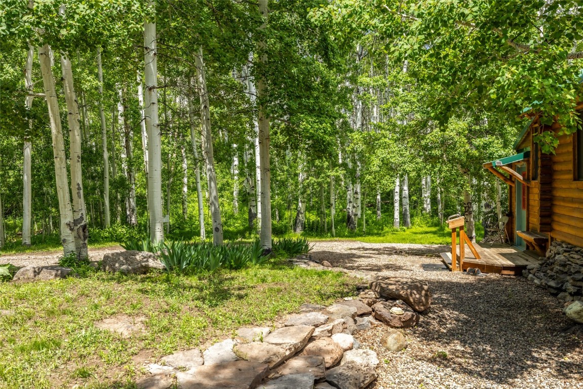 389 Routt Forest Loop Craig, CO 81625 - Photo 40 of 49 a view of outdoor space with deck and yard