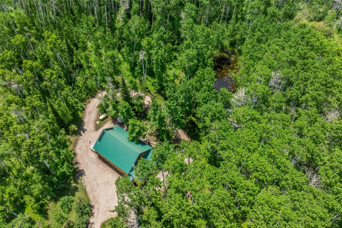389 Routt Forest Loop Craig, CO 81625 - Photo 4 of 49 an aerial view of a house with a yard