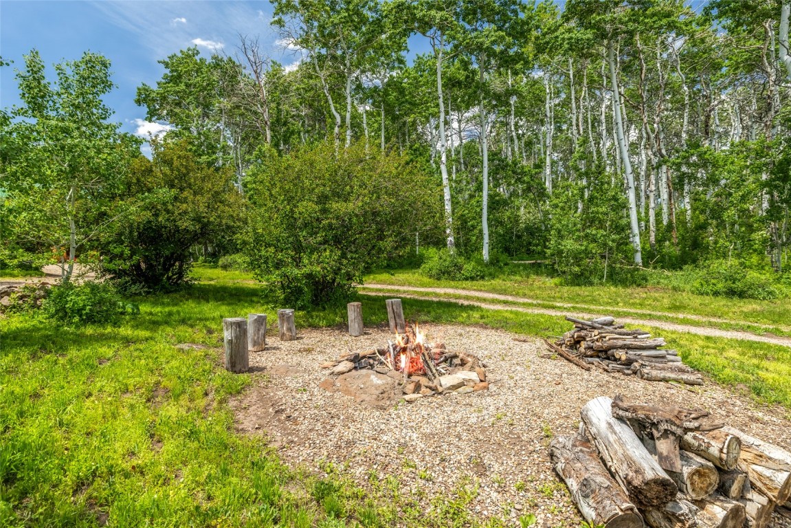 389 Routt Forest Loop Craig, CO 81625 - Photo 41 of 49 a view of a park with large trees