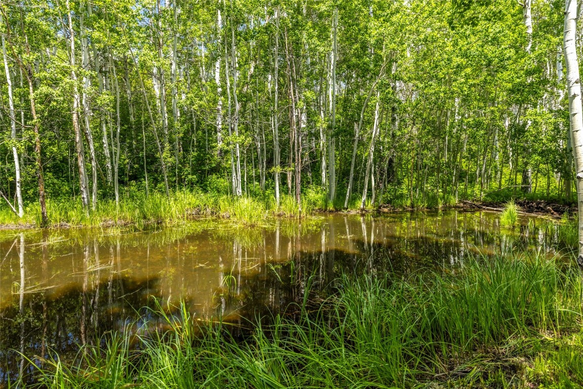 389 Routt Forest Loop Craig, CO 81625 - Photo 43 of 49 a view of yard from a balcony