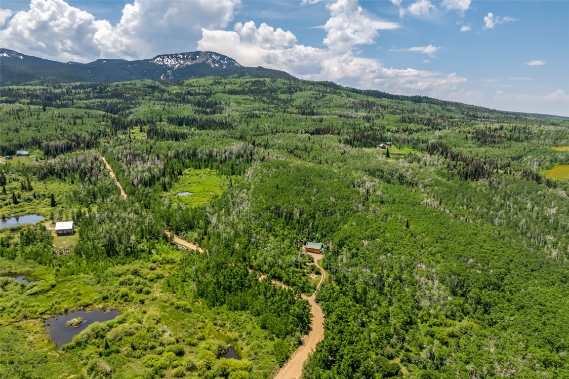389 Routt Forest Loop Craig, CO 81625 - Photo 46 of 49 a view of a bunch of trees