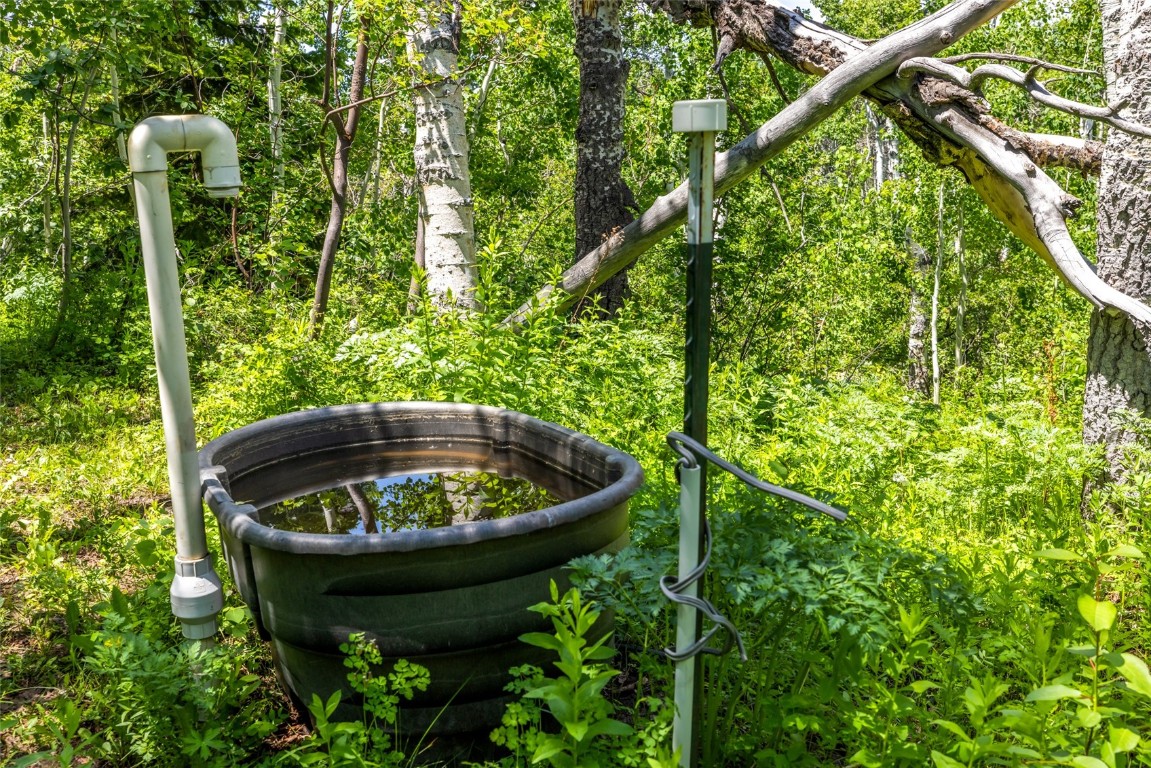 389 Routt Forest Loop Craig, CO 81625 - Photo 48 of 49 a view of a backyard with plants and a fountain