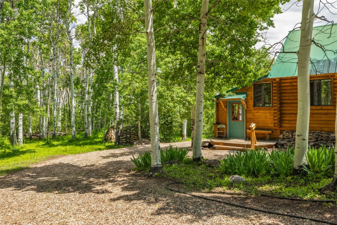 389 Routt Forest Loop Craig, CO 81625 - Photo 6 of 49 a view of a back yard of the house