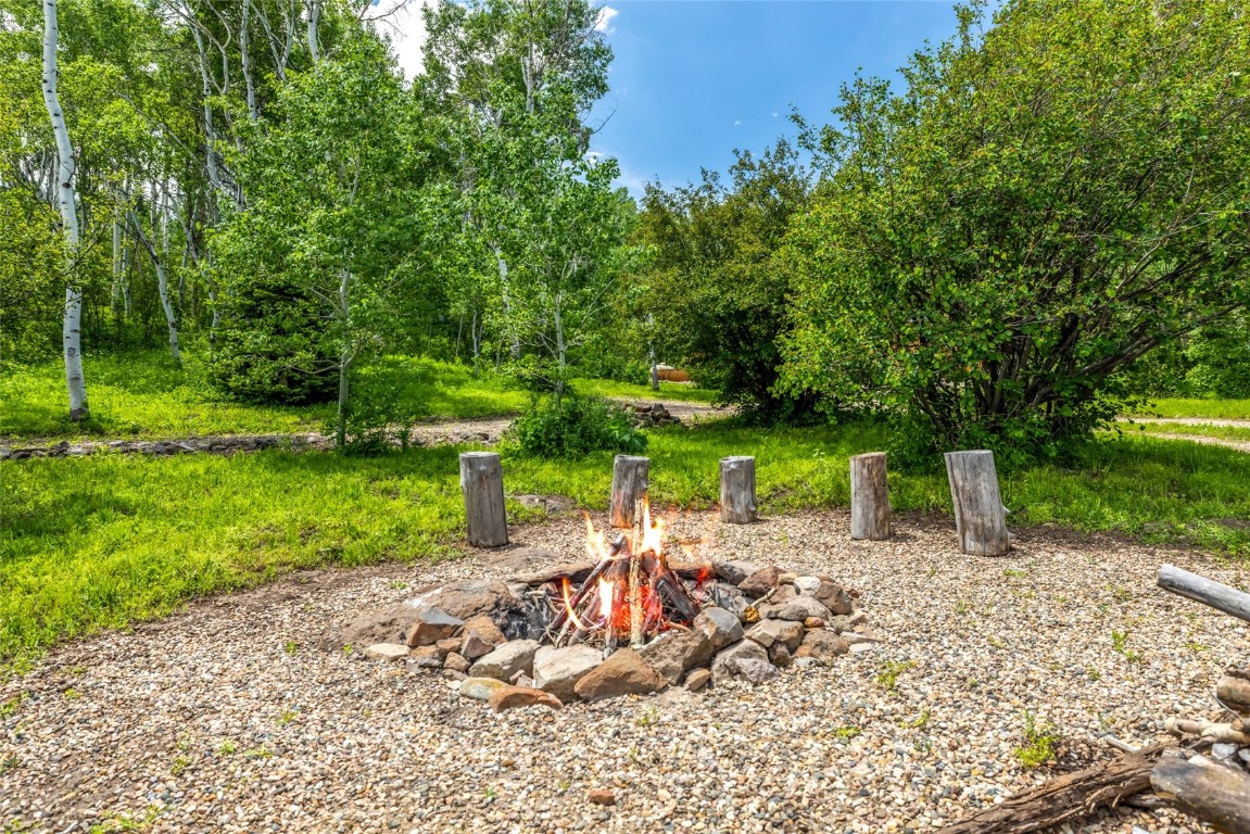 389 Routt Forest Loop Craig, CO 81625 - Photo 8 of 49 a view of a park with large trees