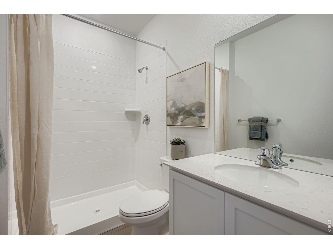 832 Rattle Road Windsor, CO 80550 - Photo 17 of 19 Model Home Reflected