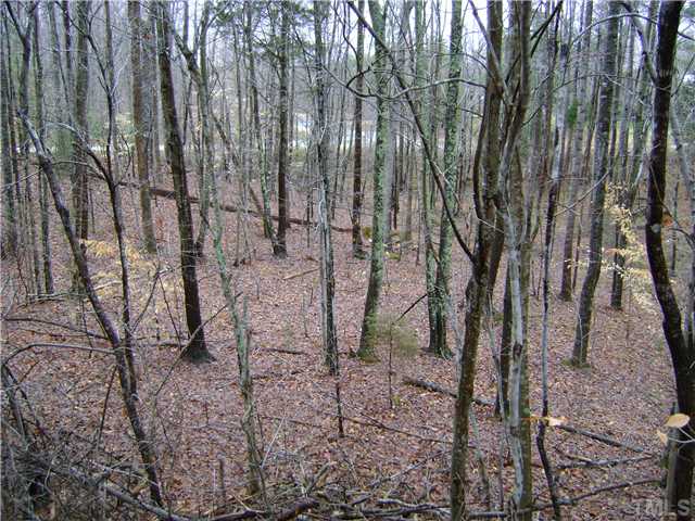 1347 Gillis Road Roxboro, NC 27574 - Photo 16 of 19
