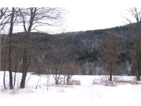 3664 Vermont Rte 100 Pittsfield, VT 05762 - Photo 2 of 3