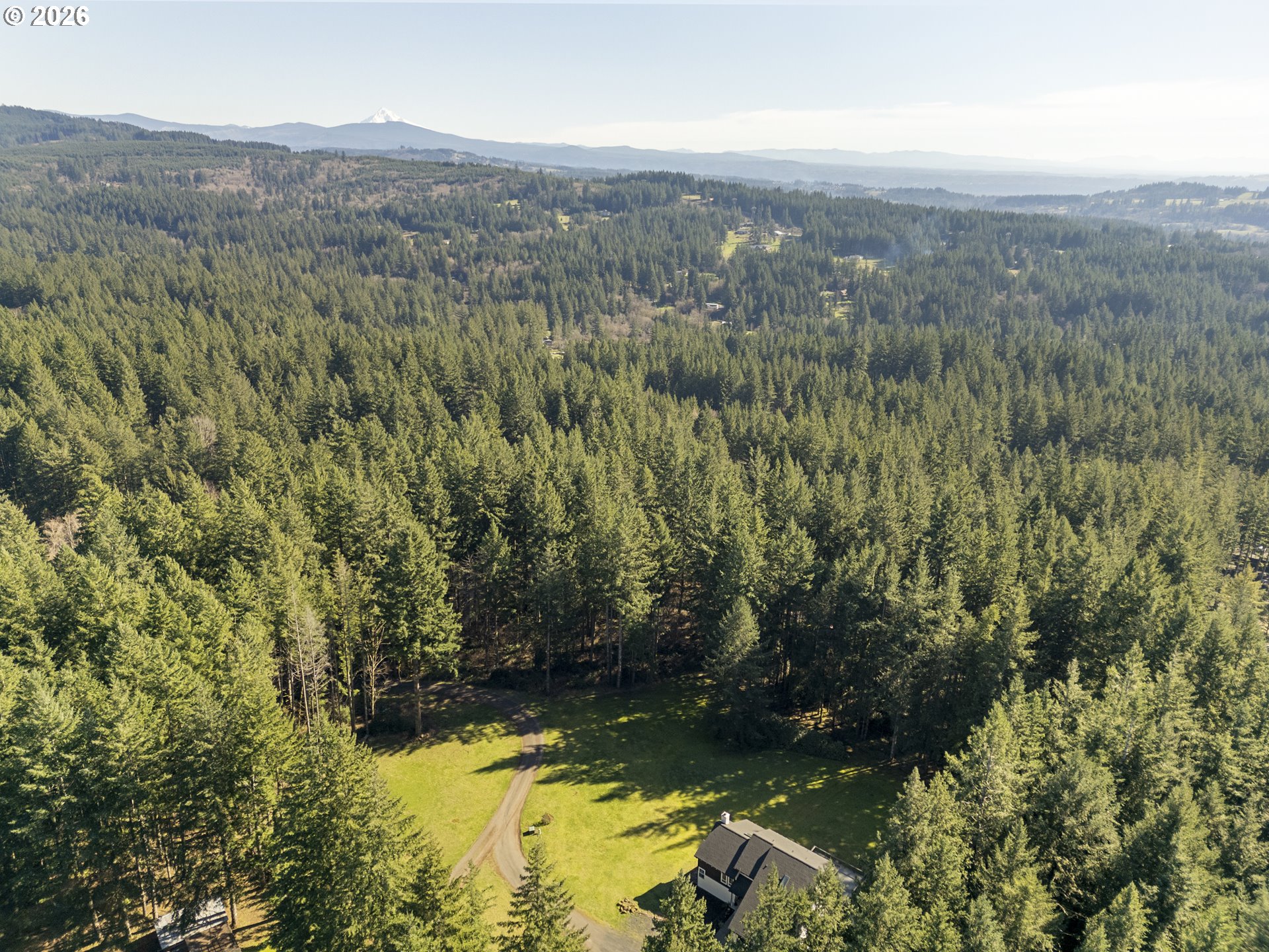 3708 Northeast 292nd Avenue Camas, WA 98607 - Photo 44 of 44 a view of a lush green forest with trees