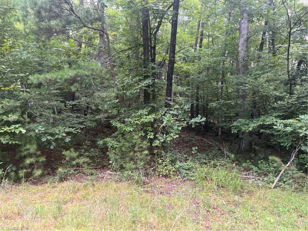1170 Timber Ridge Road Westfield, NC 27053 - Photo 11 of 20 Gallery Image 11