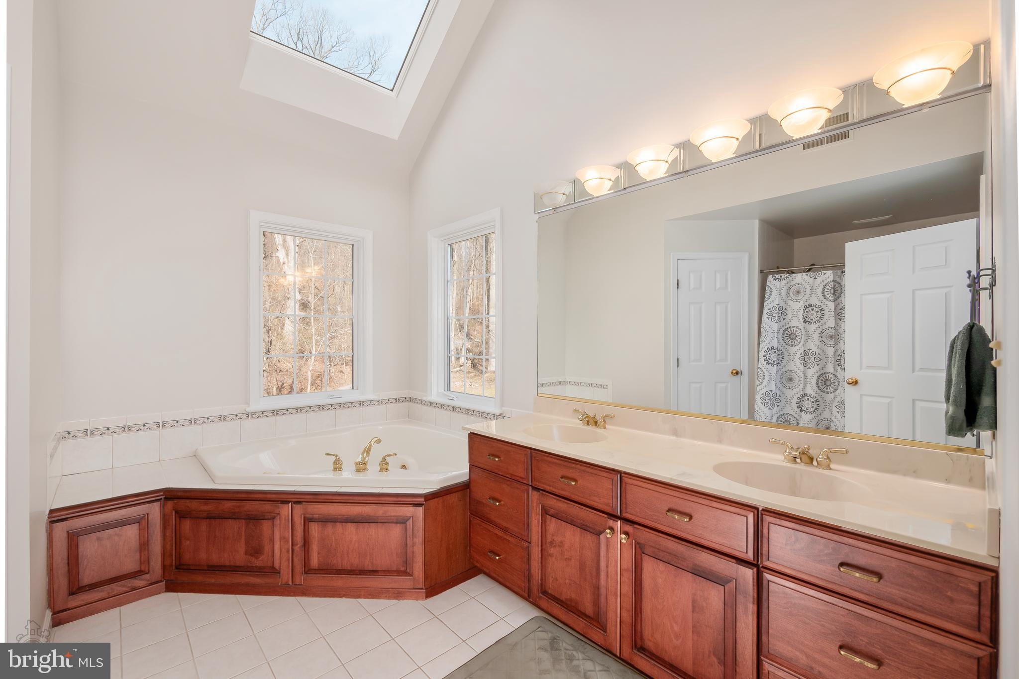 3181 Chestnut Hill Road Pottstown, PA 19465 - Photo 46 of 62 Master bathroom