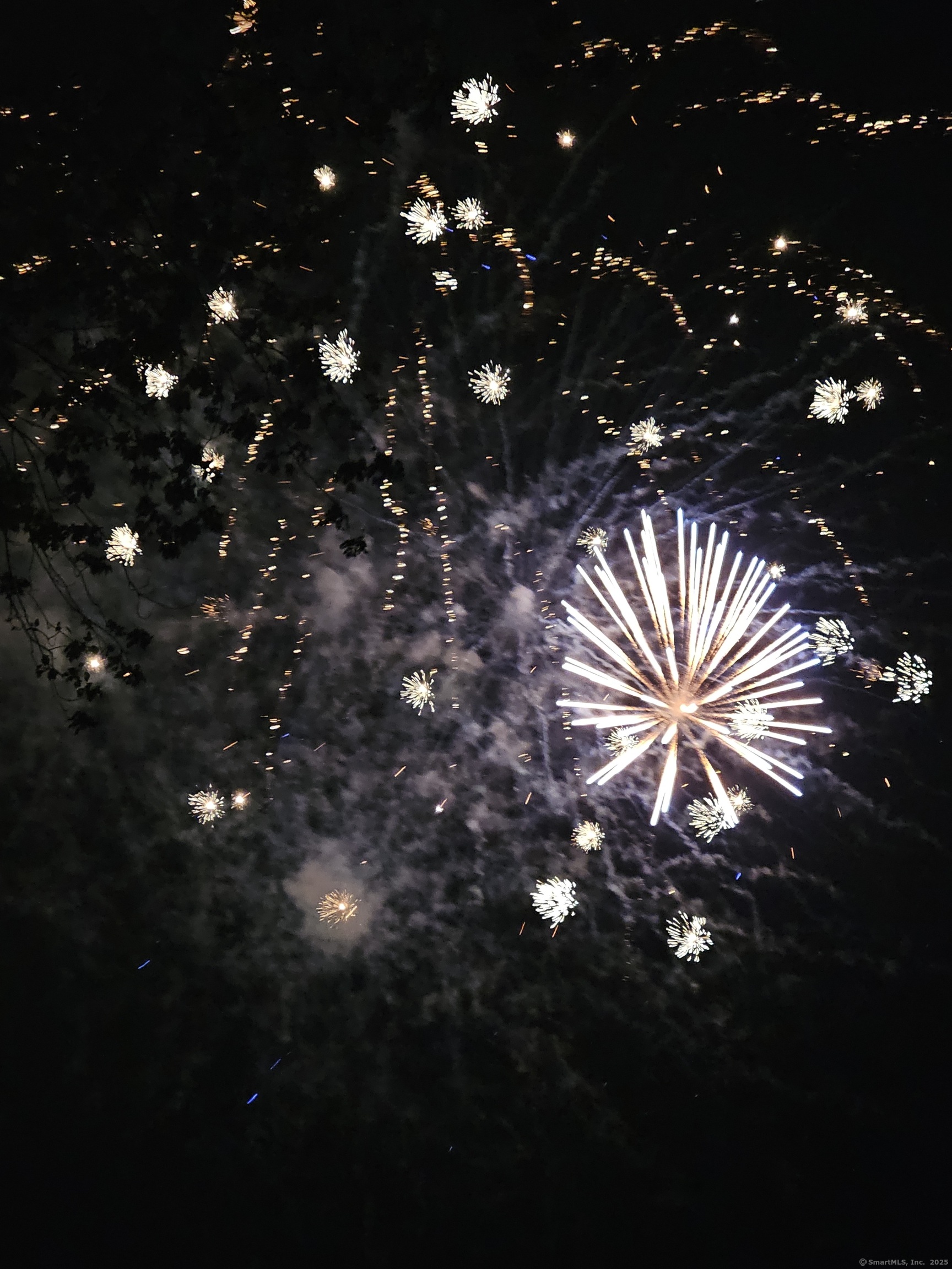 112 West Lake Road, Unit 112 Woodbury, CT 06798 - Photo 33 of 34 a view of tree