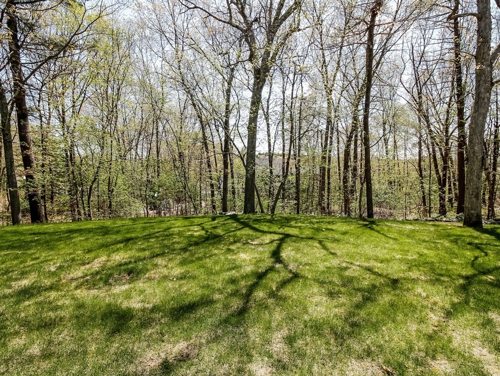 9 Townline Road Franklin, MA 02038 - Photo 8 of 30 Gallery Image 8