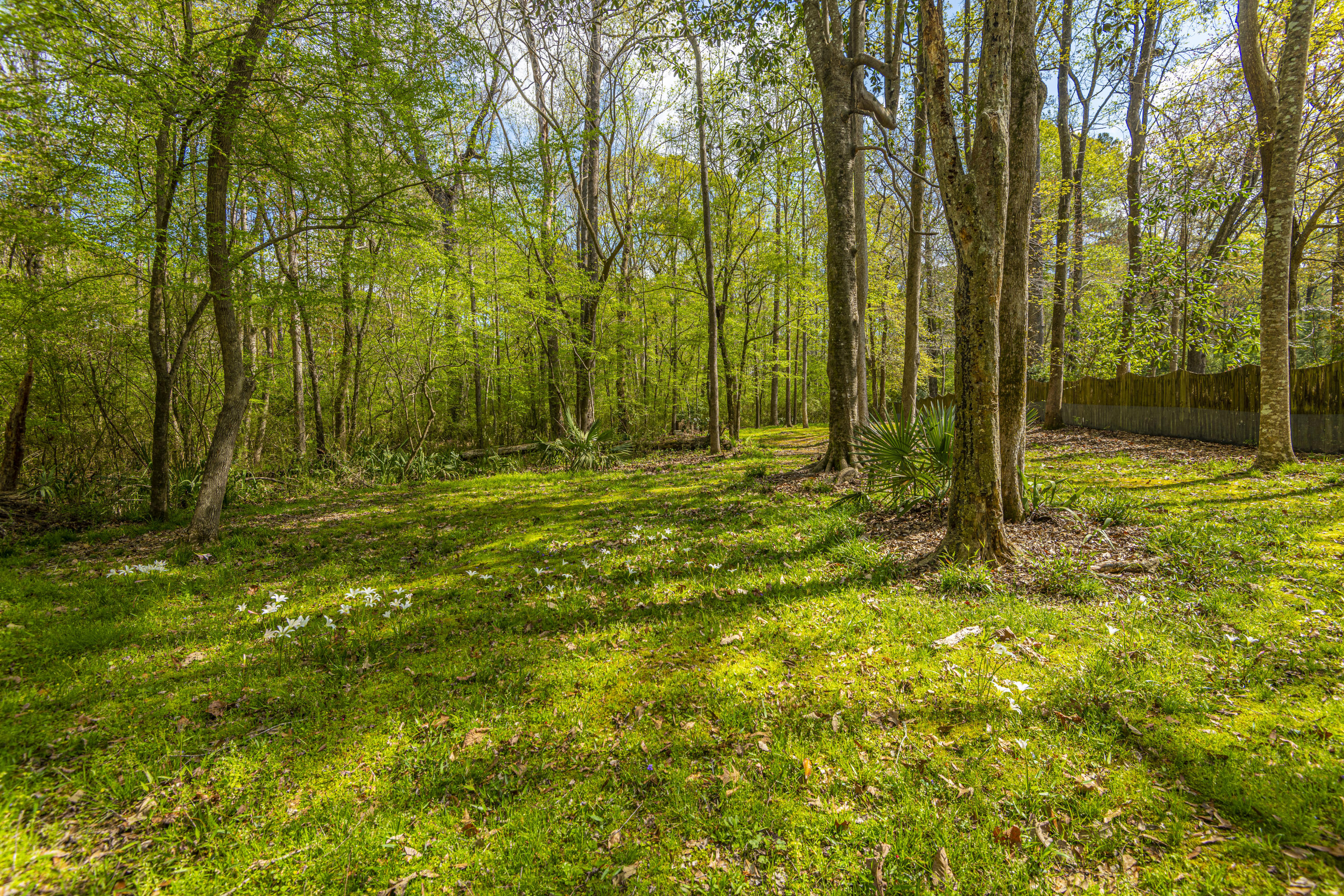 306 Huntington Road Summerville, SC 29483 - Photo 12 of 31 DSC_0021