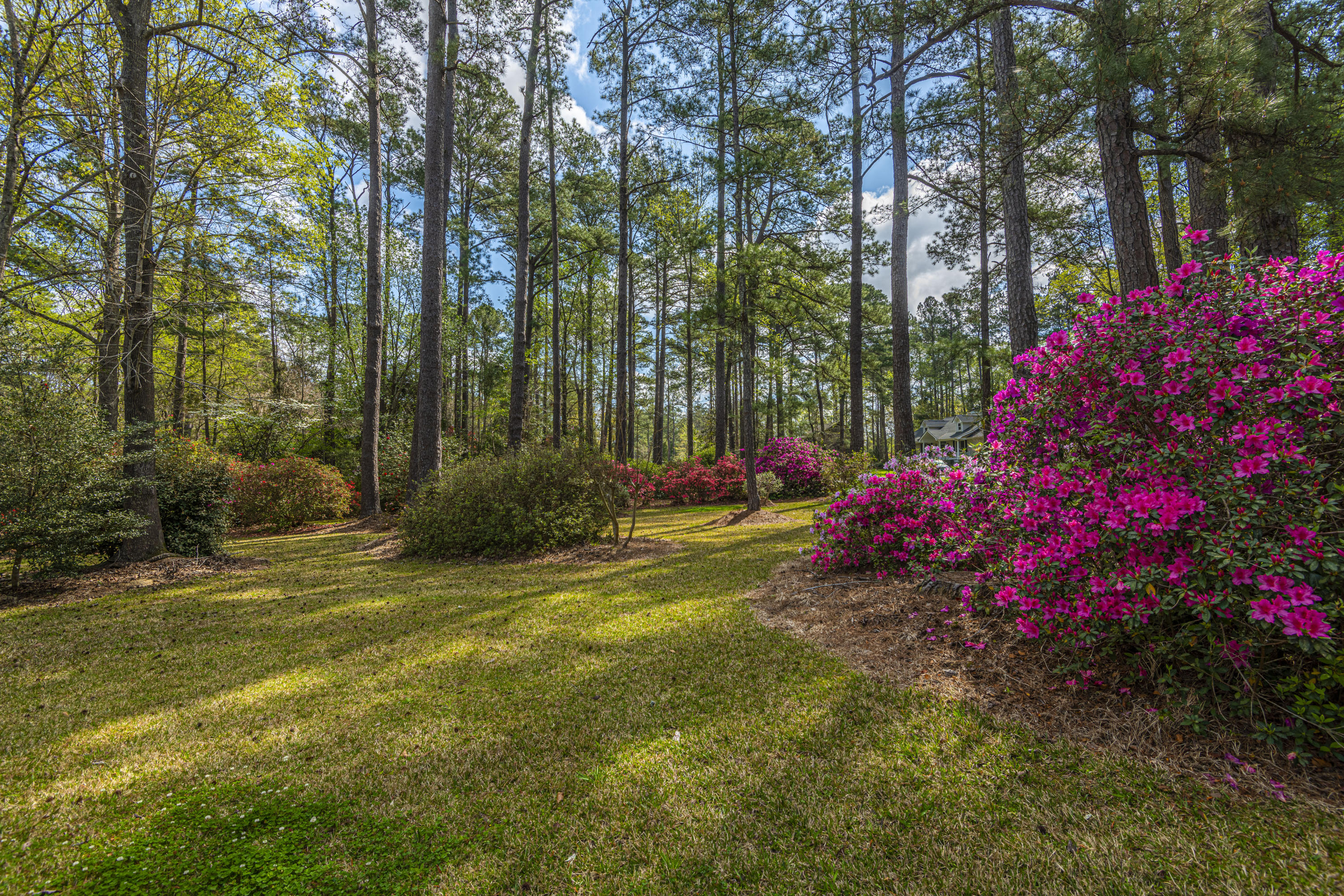 306 Huntington Road Summerville, SC 29483 - Photo 6 of 31 DSC_0016