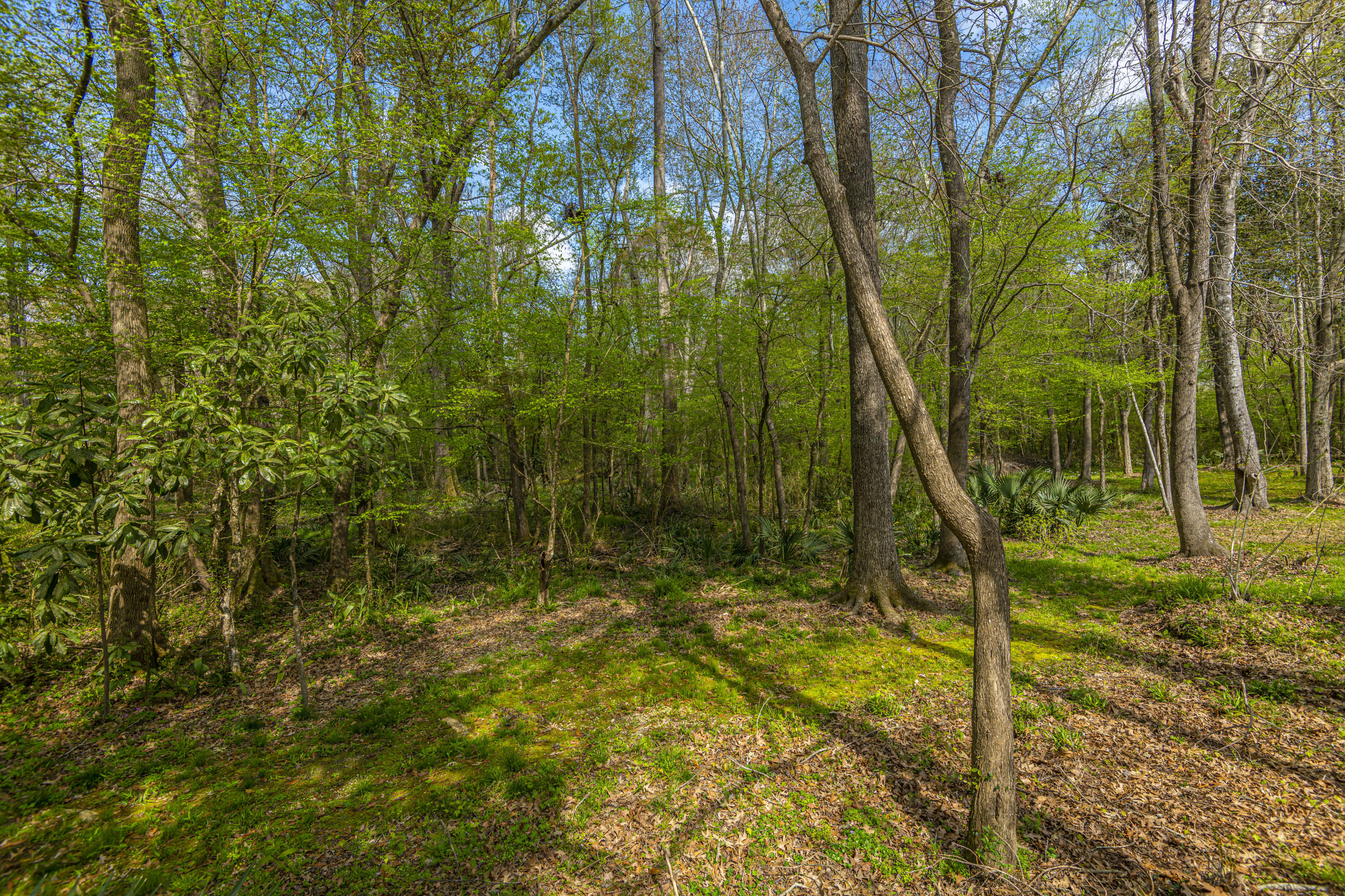 306 Huntington Road Summerville, SC 29483 - Photo 7 of 31 DSC_0020