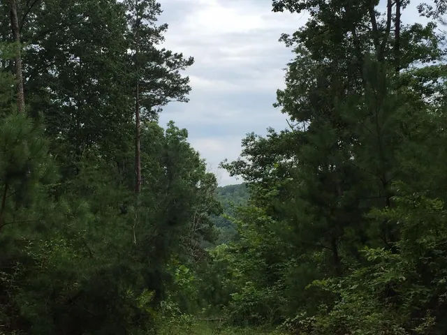 $85,000 | 303 Cove Lake Drive, Jasper, GA 30143