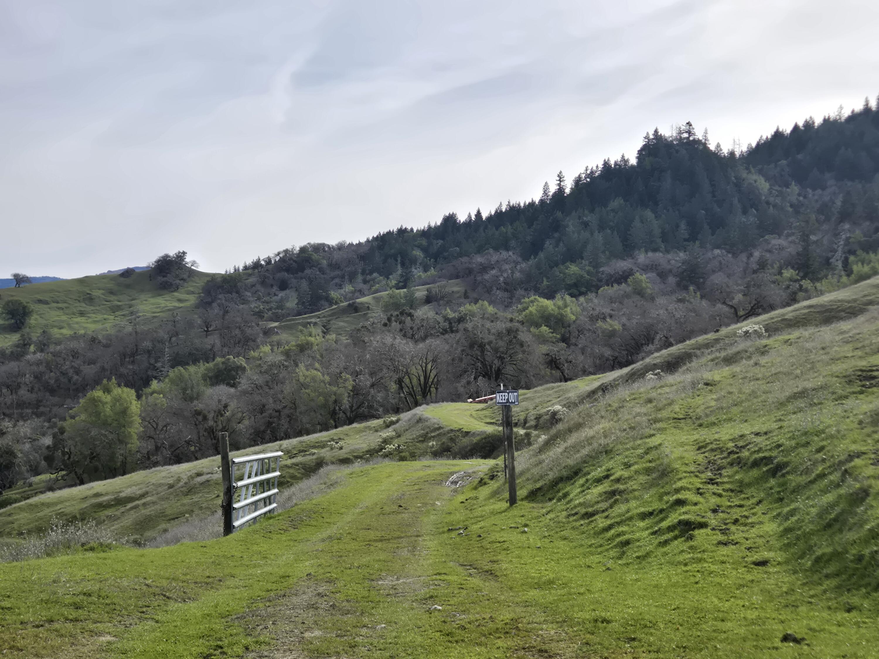 3461 Raff Crk Road Garberville, CA 95542 - Photo 30 of 32