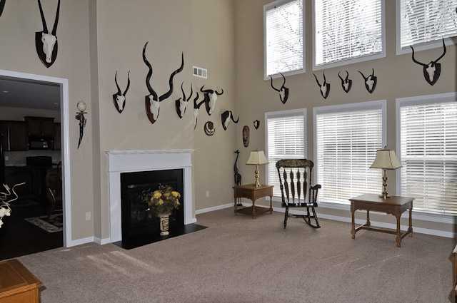 213 Rivanna Lane Greenville, SC 29607 - Photo 3 of 25 Gallery Image 3