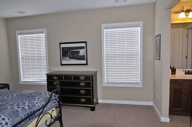 213 Rivanna Lane Greenville, SC 29607 - Photo 22 of 25 Gallery Image 22