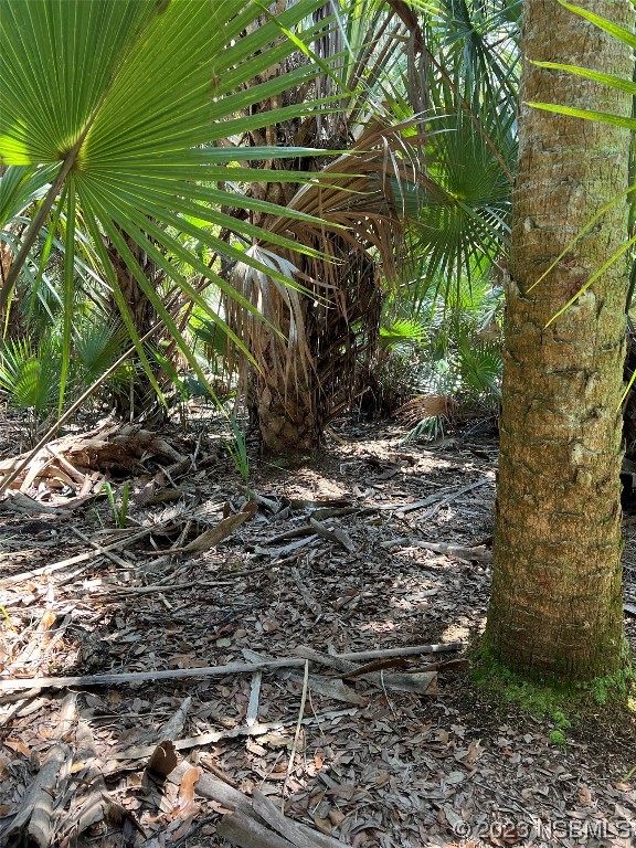 0 Tree Top Lane Edgewater, FL 32141 - Photo 3 of 4