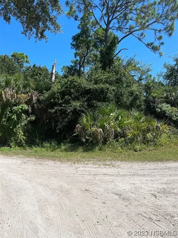 $79,000 | 0 Tree Top Lane, Edgewater, FL 32141