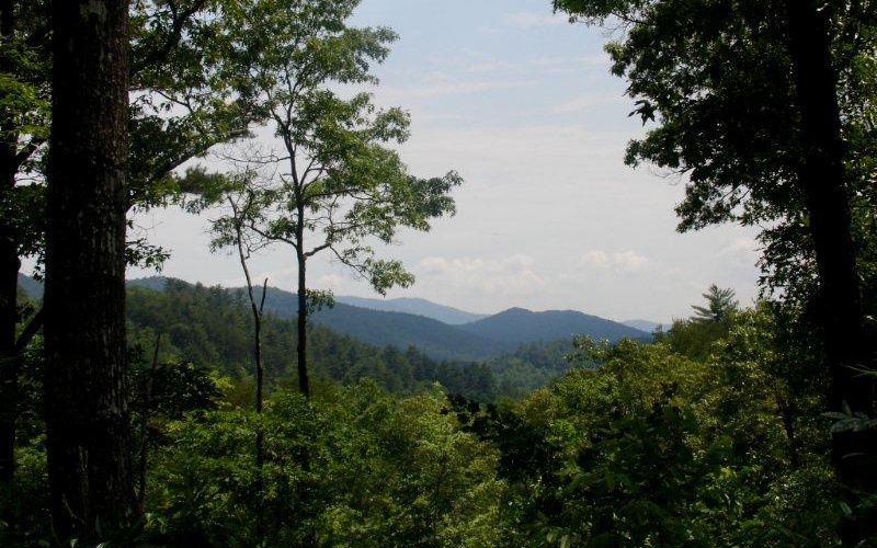 442 Pony Ghost Trail Blue Ridge, GA 30513 - Photo 1 of 1 Main View