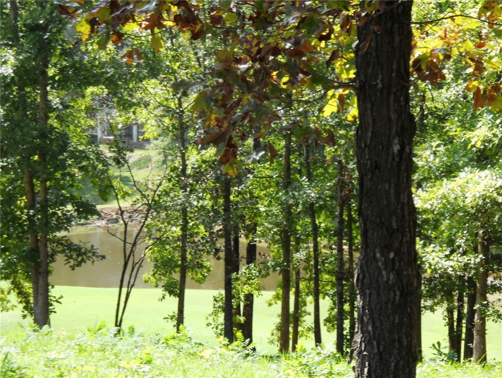 3901 Turnberry Loop Seneca, SC 29678 - Photo 21 of 25 Pond across street from home, on golf course