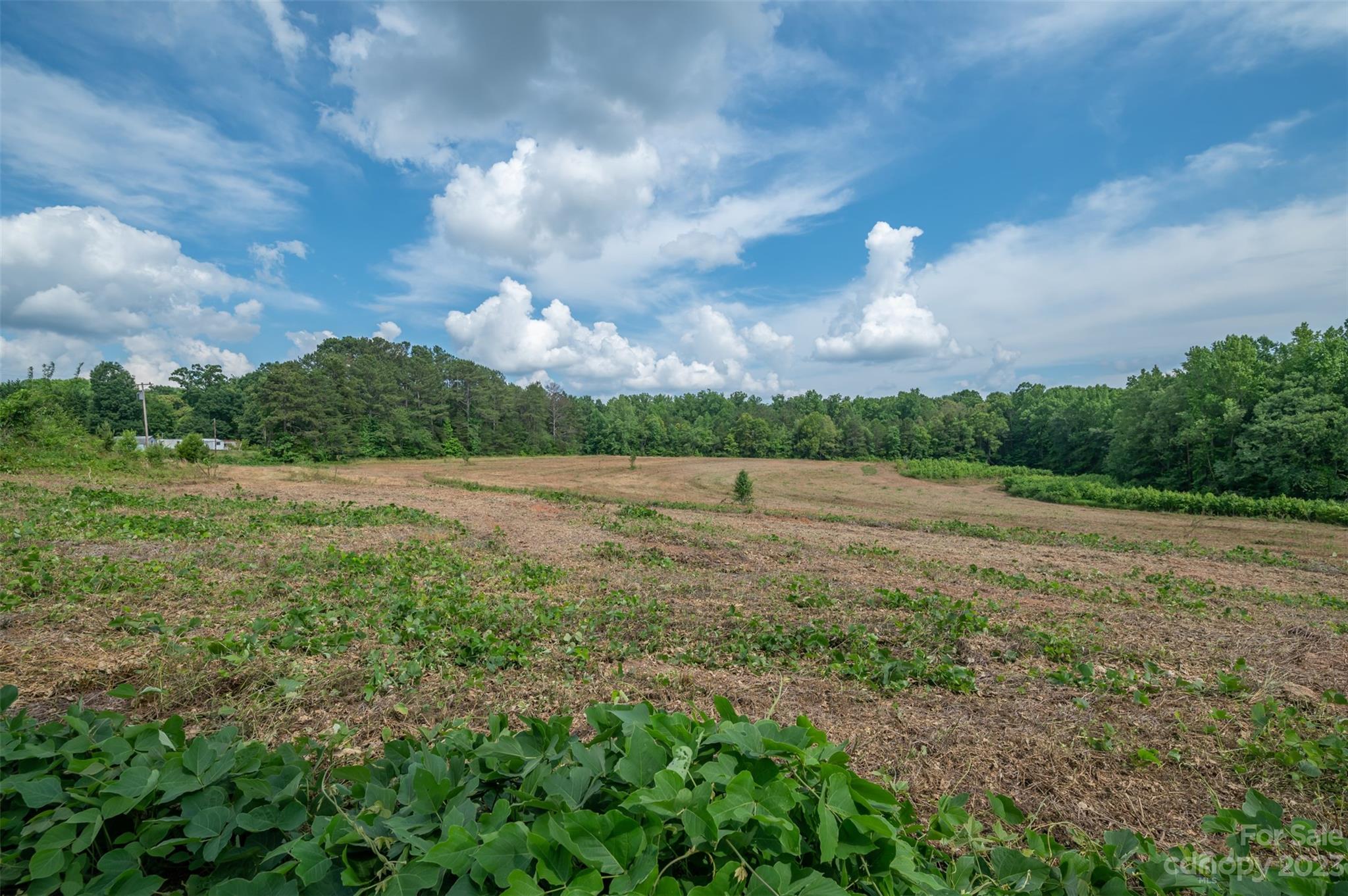 0 Sunset Memorial Road Forest City, NC 28043 - Photo 11 of 11 Gallery Image 11
