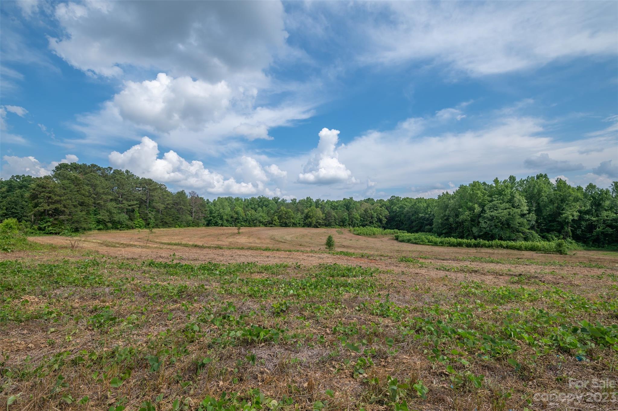 0 Sunset Memorial Road Forest City, NC 28043 - Photo 2 of 11 Gallery Image 2