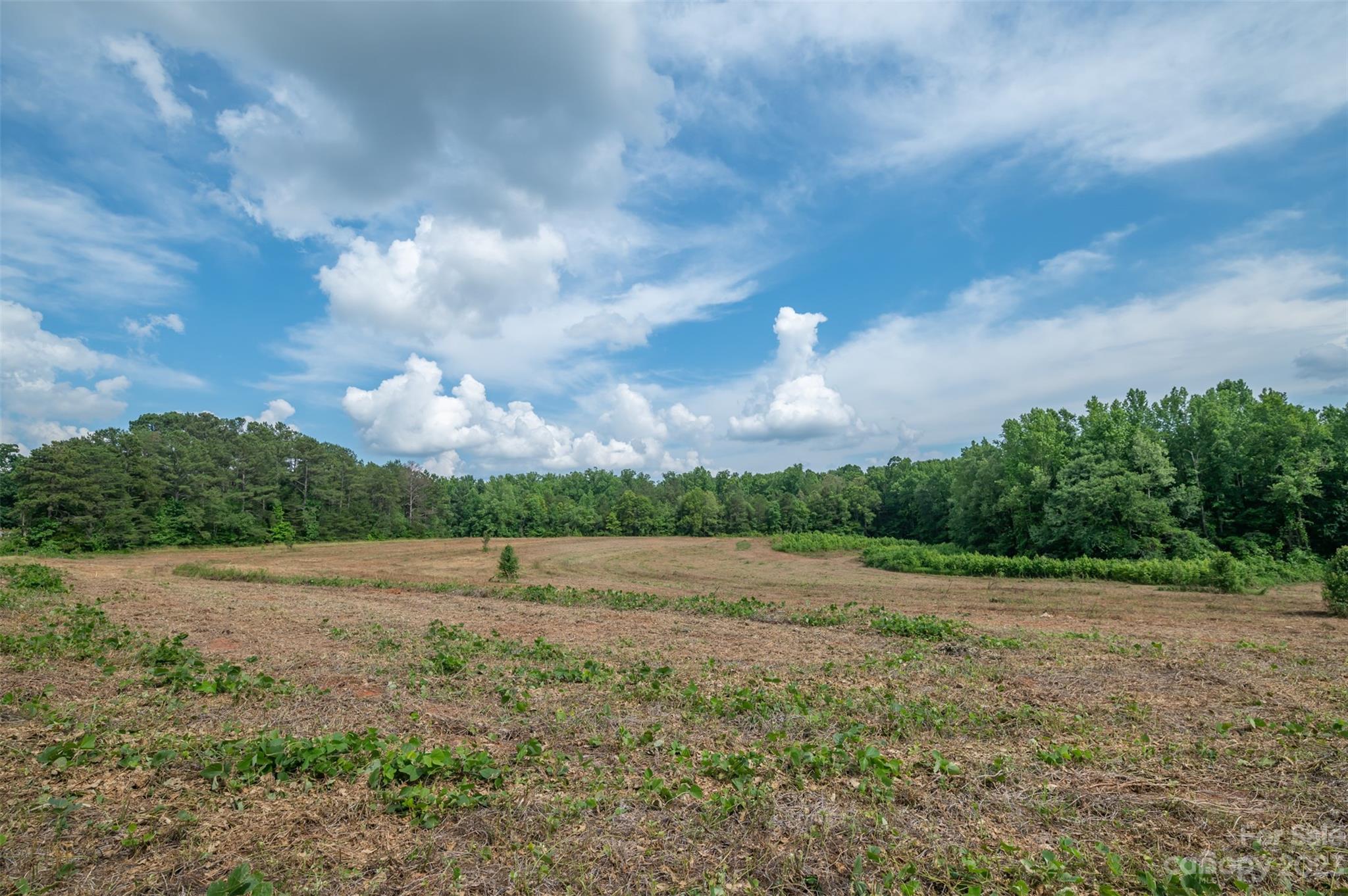 0 Sunset Memorial Road Forest City, NC 28043 - Photo 3 of 11 Gallery Image 3