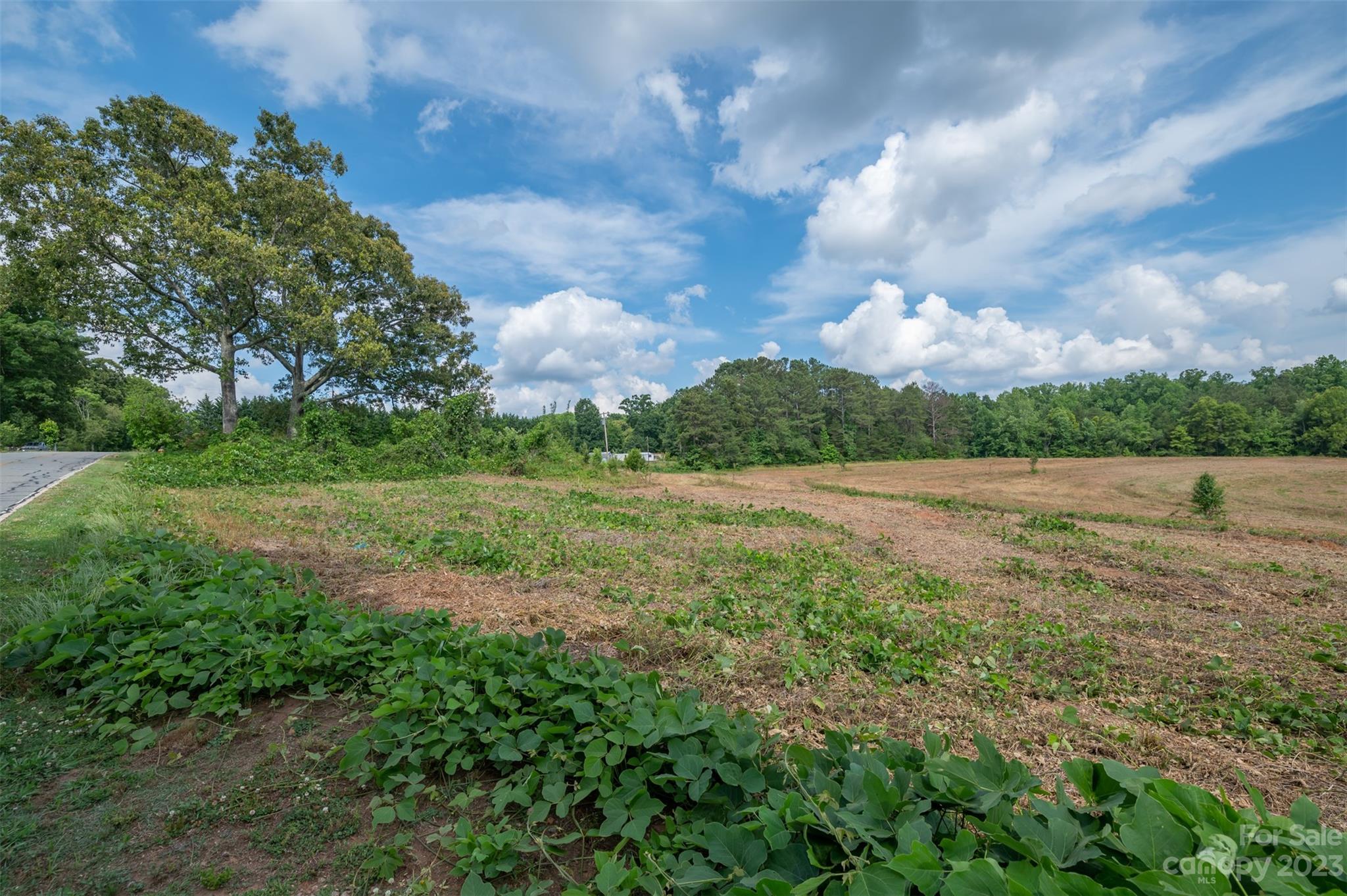 0 Sunset Memorial Road Forest City, NC 28043 - Photo 6 of 11 Gallery Image 6