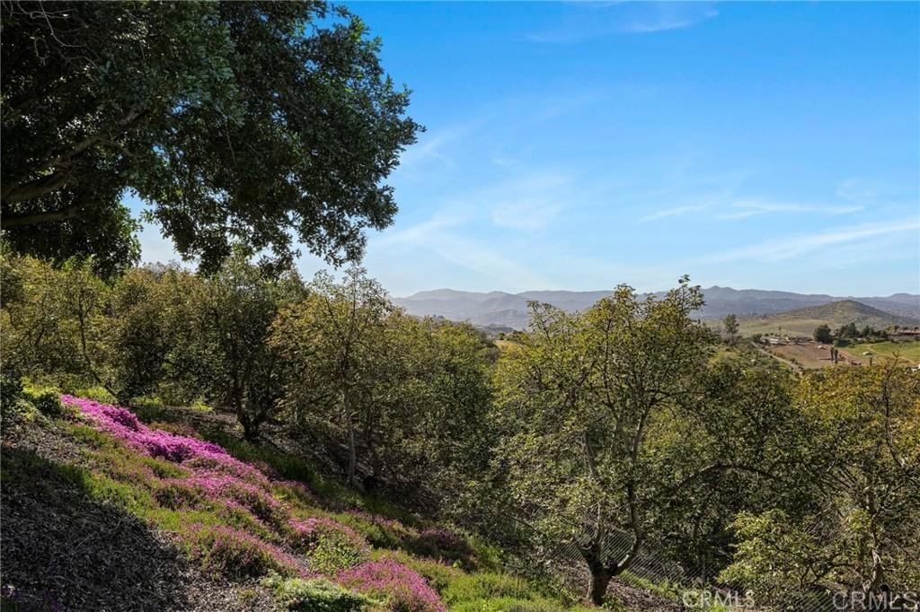 15735 Highland Valley Road Escondido, CA 92025 - Photo 12 of 50