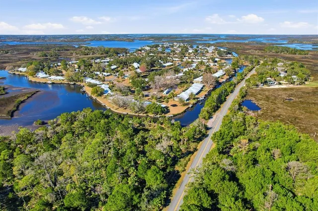 an aerial view of residential houses with outdoor space and trees